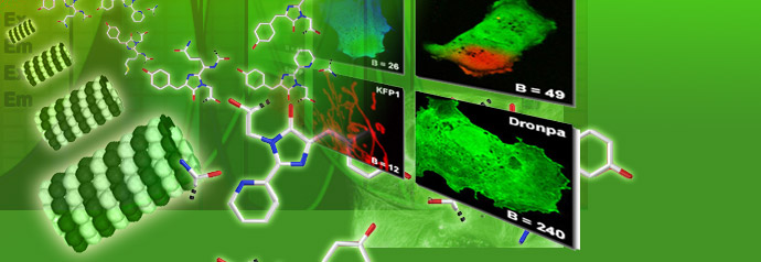 Introduction to the Fluorescent Protein Color Palette