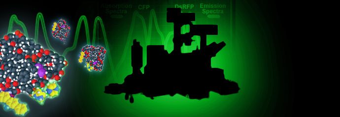 Fluorescence Resonance Energy Transfer (FRET) Microscopy